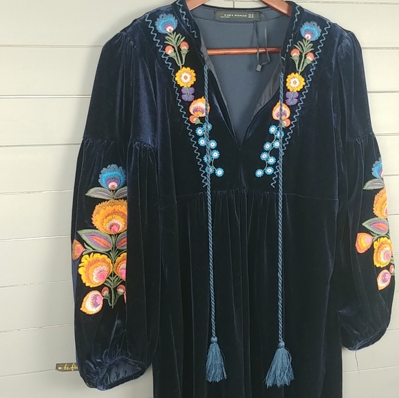 Zara Tasseled Tie Embroidered velvet dress - Picture 3 of 7